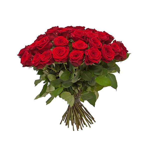 51 красная роза 70 см.